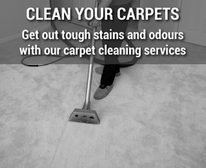 Clean Your Carpets | Get out tough stains and odours with our carpet cleaning services 